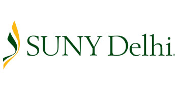 delhi logo