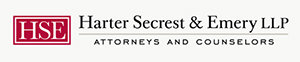 HSE logo